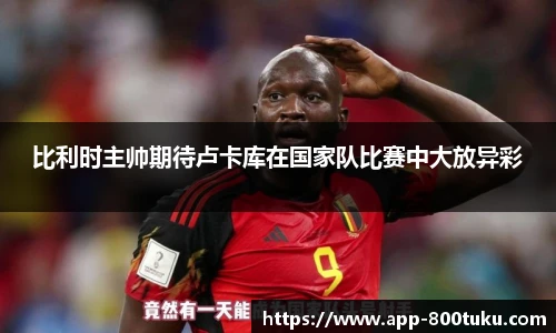 800图库官网