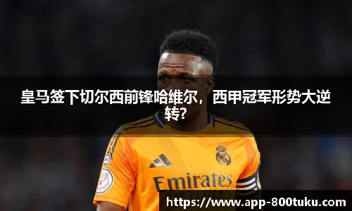 800图库官网