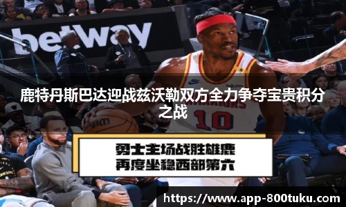 800图库官网
