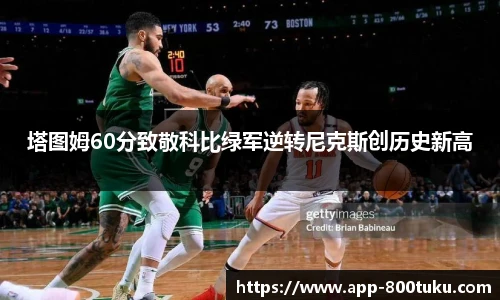 800图库官网