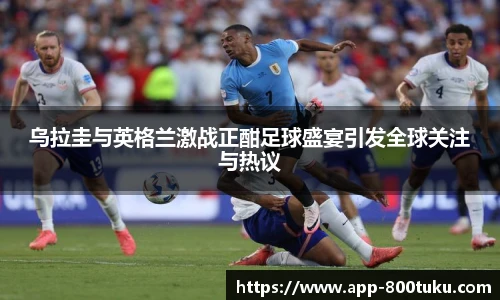 800图库官网